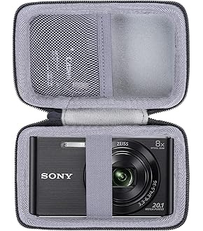 Sony 20.1 MP Digital Camera with 8x Zoom and Stabilization