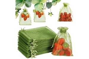 Shintop 100Pcs Fruit Protection Bags, 4x6 Inch Green Strawberry Netting Cover Drawstring Mesh Bags Pest Barrier for Blueberry Small Fruit