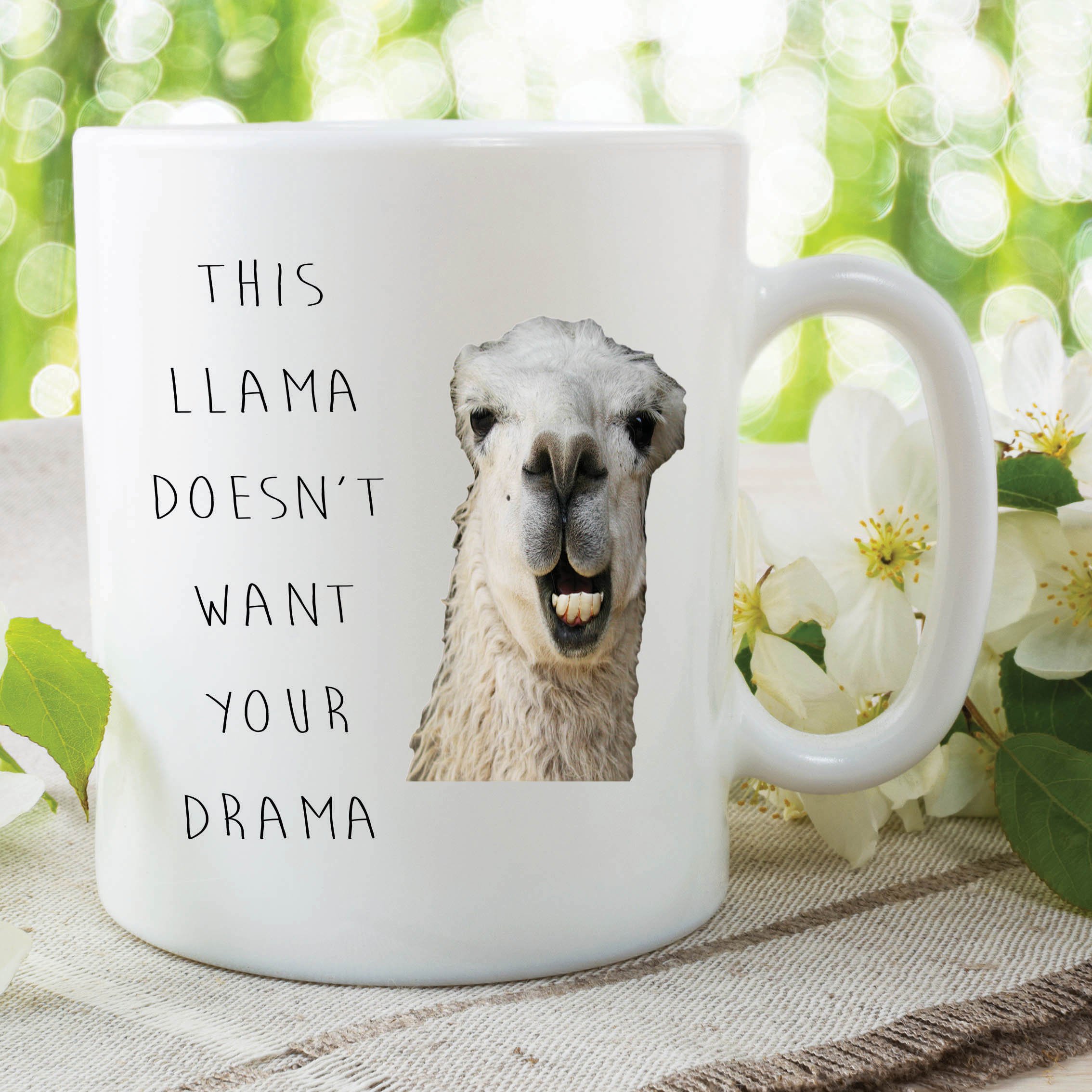 Funny Novelty Mugs Joke Adult Humour Drama Llama Work Office Coffee WSDMUG616
