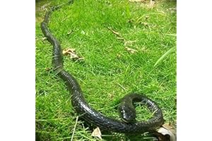 Yoogeer 47 Inches Rubber Lifelike Snakes Scary Gag Gift Incredible Creatures Chain Snakes Rain Forest Snake Toys Wild Life Snakes