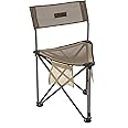 ALPS Mountaineering Grand Rapids Chair/Stool