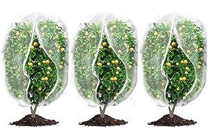WAYBAS 3Pcs Plant Covers from Insects, Bird Netting Barrier for Blueberry Bushes with Drawstring Zipper Mesh Garden Netting Fruit Tree Bags Plants Net Cage for Protect Tomato Vegetable Citrus, 3.3×5Ft