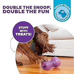 Outward Hound Double Snoop Interactive Treat