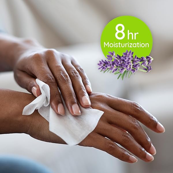 WET ONES ANTIBACTERIAL HAND WIPES, LAVENDER SCENT WIPES | TRAVEL WIPES CASE, ANTIBACTERIAL WIPES | 20 CT. TRAVEL SIZE WIPES (PACK OF 1)