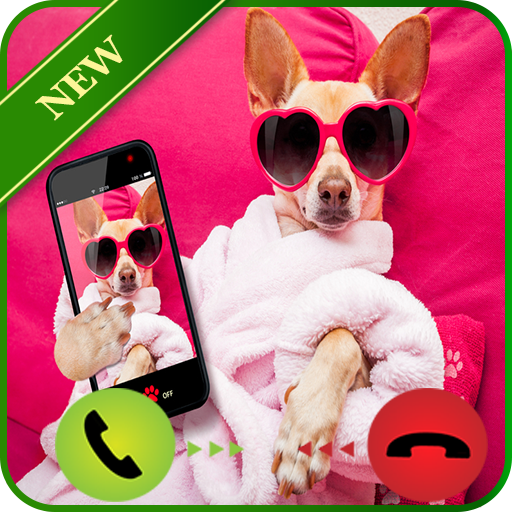 Call From Funny Dog