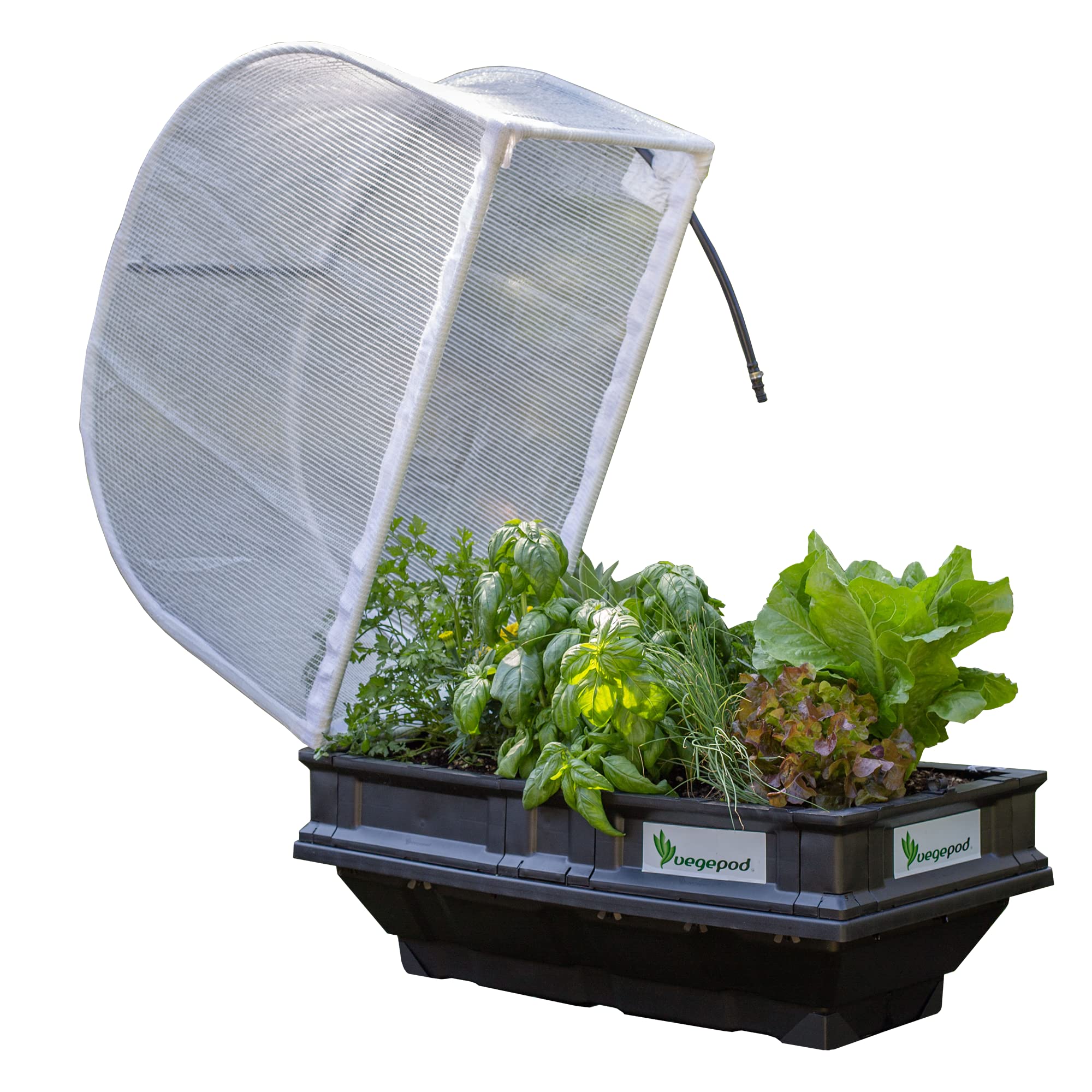 Vegepod - Raised Beds for Vegetable Garden - Self Watering Planter with Protective Cover, Easily Elevated to Waist Height, 5 Years Warranty - Small (Vegepod)