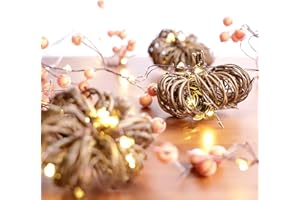 MIYA LIFE Nature Rattan Pumpkin String Lights Fall Garland with Lights Battery Operated Pumpkin Garland for Thanksgiving Halloween Fall Decorations