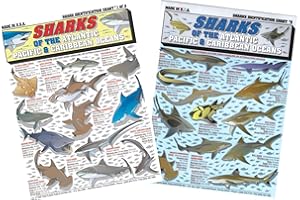 Sharks Identification Set (Atlantic, Pacific, and Caribbean Oceans) - Waterproof Quick Reference Guide | Portable & Built to Last | Double-Sided & Easy to Read | (Size, Weight, Depth, Location)