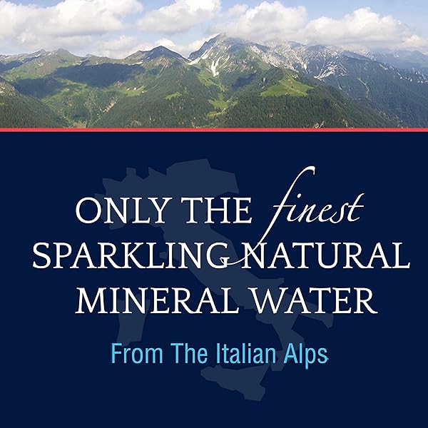 S.PELLEGRINO SPARKLING NATURAL MINERAL WATER, 25.4 FL OZ