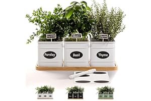 HB DESIGN CO. Herb Planter Indoor - 3 Iron Herb Pots with Drainage Holes, Varnished Bamboo Tray, Customizable Labels & Marker Pen - Indoor Herb Garden Planter - 3 Pots for Herbs - Inside Spice Garden - Basil Pot