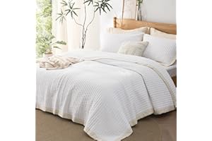 Bedsure Ivory Quilt Set Queen - 3-Piece Lightweight Bedspread 90"x96" with 2 Pillow Shams, Soft Coverlet Thin Comforter for Modern Bedrooms, All Season Bedding Set