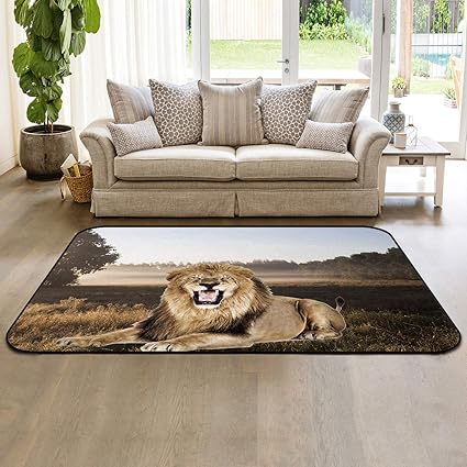 Amazon Com Sodika Area Rugs Bedroom Living Room Sitting