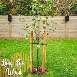 Circle of Trust Garden Stakes 90 cm Pack of 10 25 mm Thick Pressure Treated view 6
