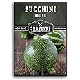 Survival Garden Seeds - Round Zucchini Seed for Planting - Pack with Instructions to Plant and Grow Small Green Zucchinis in Your Home Vegetable Garden - Non-GMO Heirloom Variety