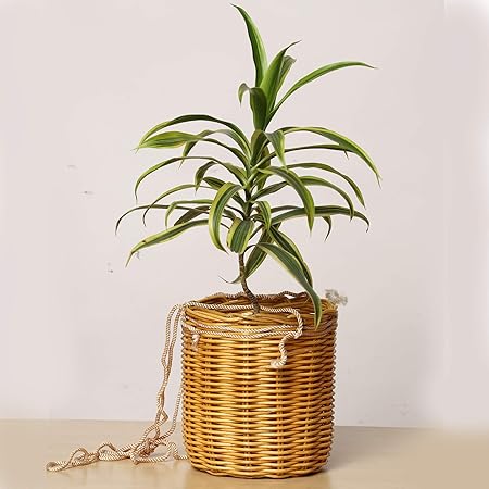 AKWAY Round Rattan/Wicker Planter for Indoor Outdoor Garden Patio Terrace Balcony Table Shelf, Storage Basket for Table and Shelf, Flower Pot (Plant not Included) (Beige, 8 x 8 x 8 Inch)