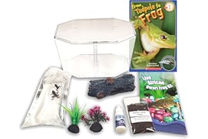 NATURE GIFT STORE African Dwarf Frog Starter Kit- Includes Certificate for 2 Live Frogs- All-in-One Bundle with Book, Small Aquarium, Food, Instructions Now