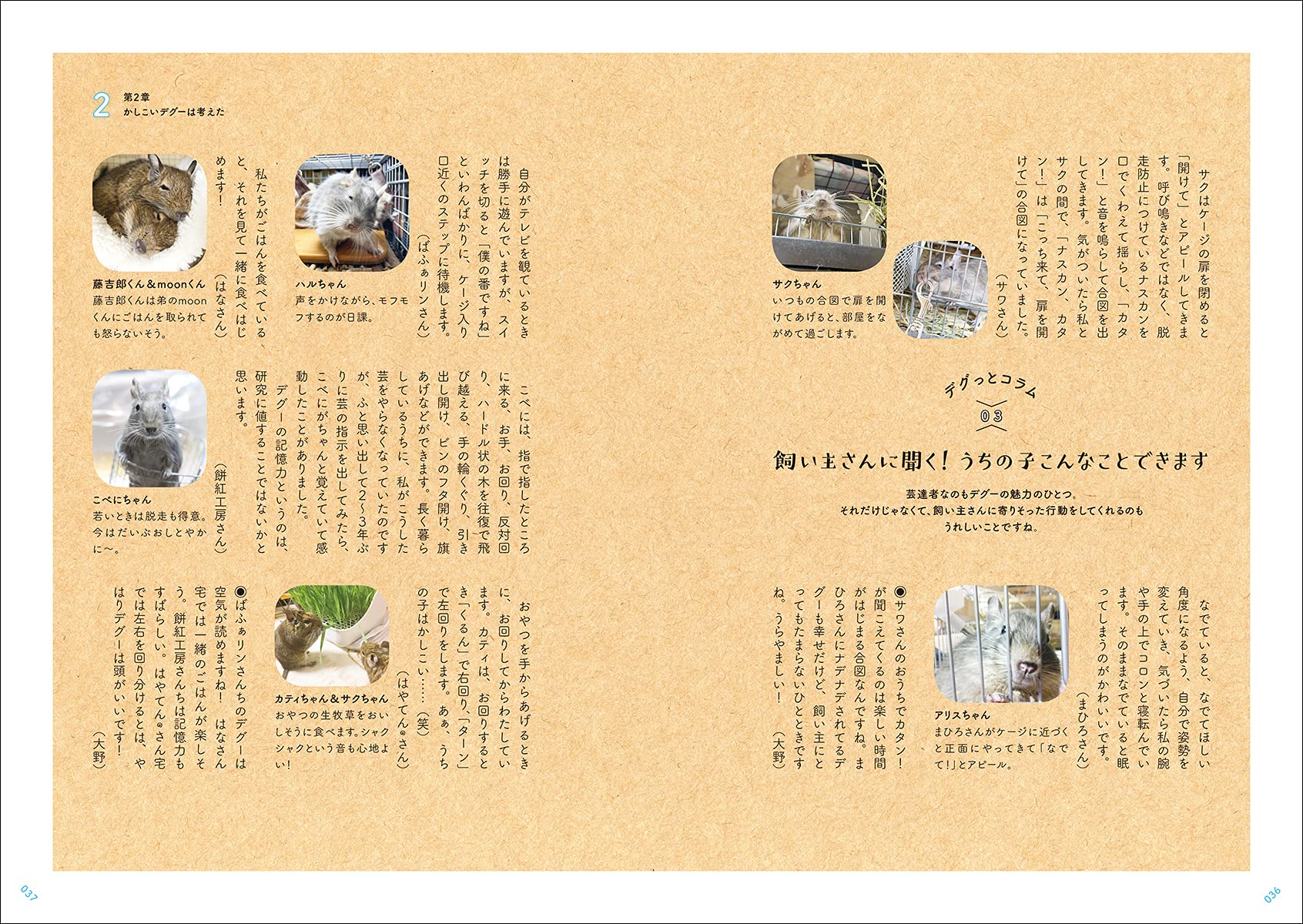 デグー 飼いはじめました マンガでわかるもふもふ小動物たちの飼育書 大野 瑞絵 本 通販 Amazon