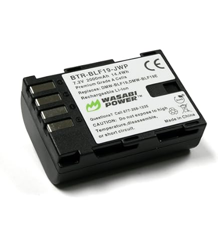 Amazon.com : Panasonic DMW-BLF19 Lithium-Ion Battery Pack