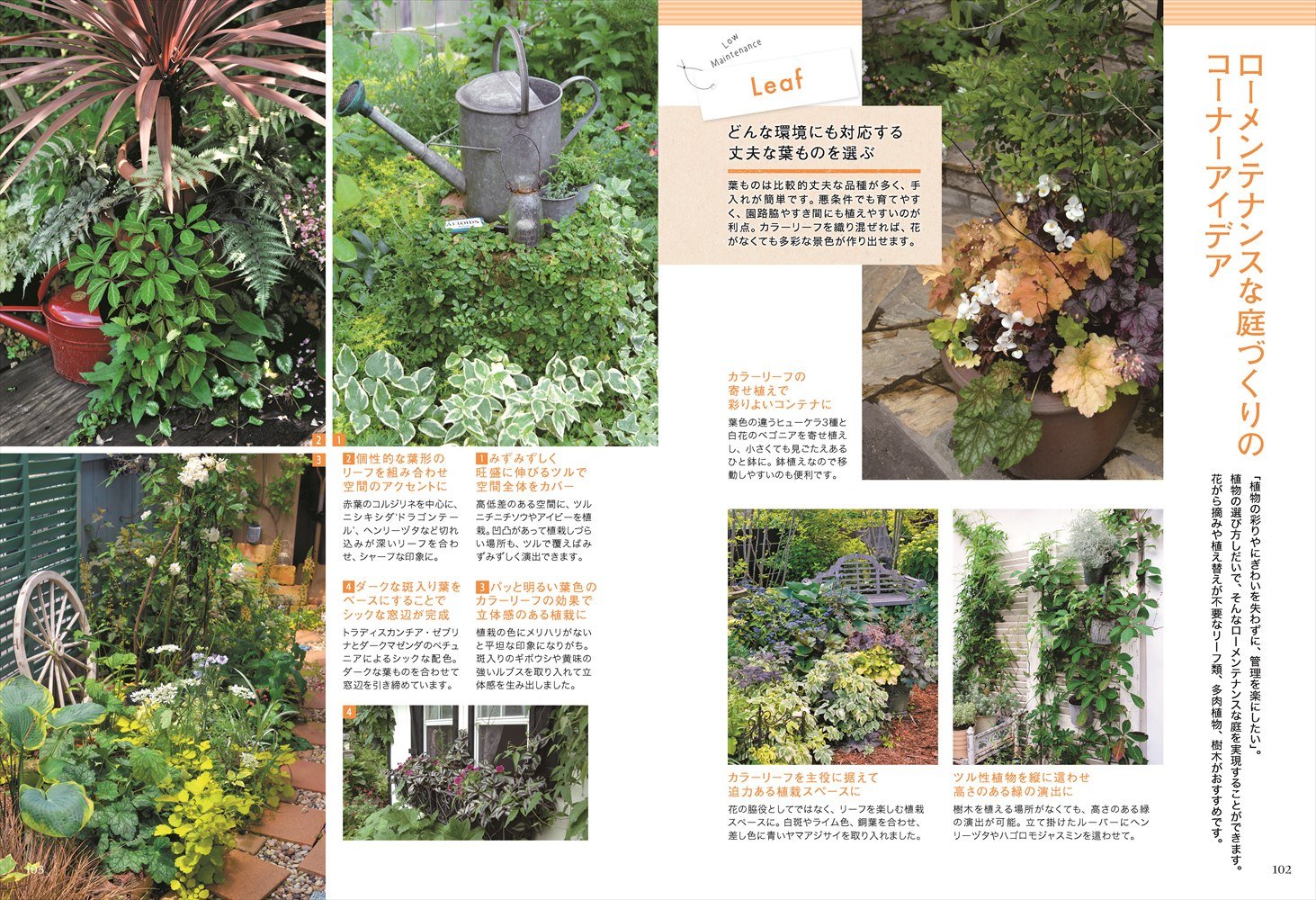 はじめてでもできる小さな庭づくり 基礎の基礎からよくわかる 小黒晃 木村卓功 本 通販 Amazon