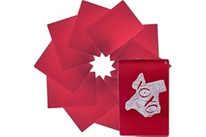 ZOOM PRECISION Metal Engraving Blanks for Etching w/Silhouette Cameo 4 Pro Plus, Brother Scan and Cut, Maker, Explore Air 2 or Laser Engraving Blanks - Anodized Aluminum Sheet Metal & Plates for Crafting- 10 Pack