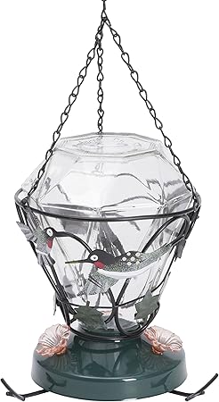 Amazon Com Perky Pet Hummingbird Edition 24 Ounce Glass