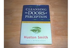 Cleansing The Doors Of Perception