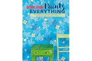 Annie Sloan Paints Everything: Step-by-step projects for your entire home, from walls, floors, and furniture, to curtains, blinds, pillows, and shades