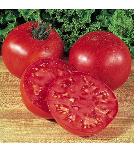 Keeperトマト Amazon.com : Park's Whopper CR Improved Tomato, Professional