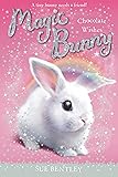Amazon Com A New Beginning 1 Magic Puppy