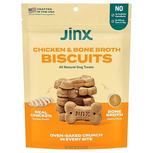 JINX OVEN-BAKED CHICKEN BONE BROTH BISCUIT TREATS, CRUNCHY, ALL NATURAL, SUPERFOOD-RICH WITH REAL CHICKEN, PUMPKIN & BLUEBERRIES, 16OZ