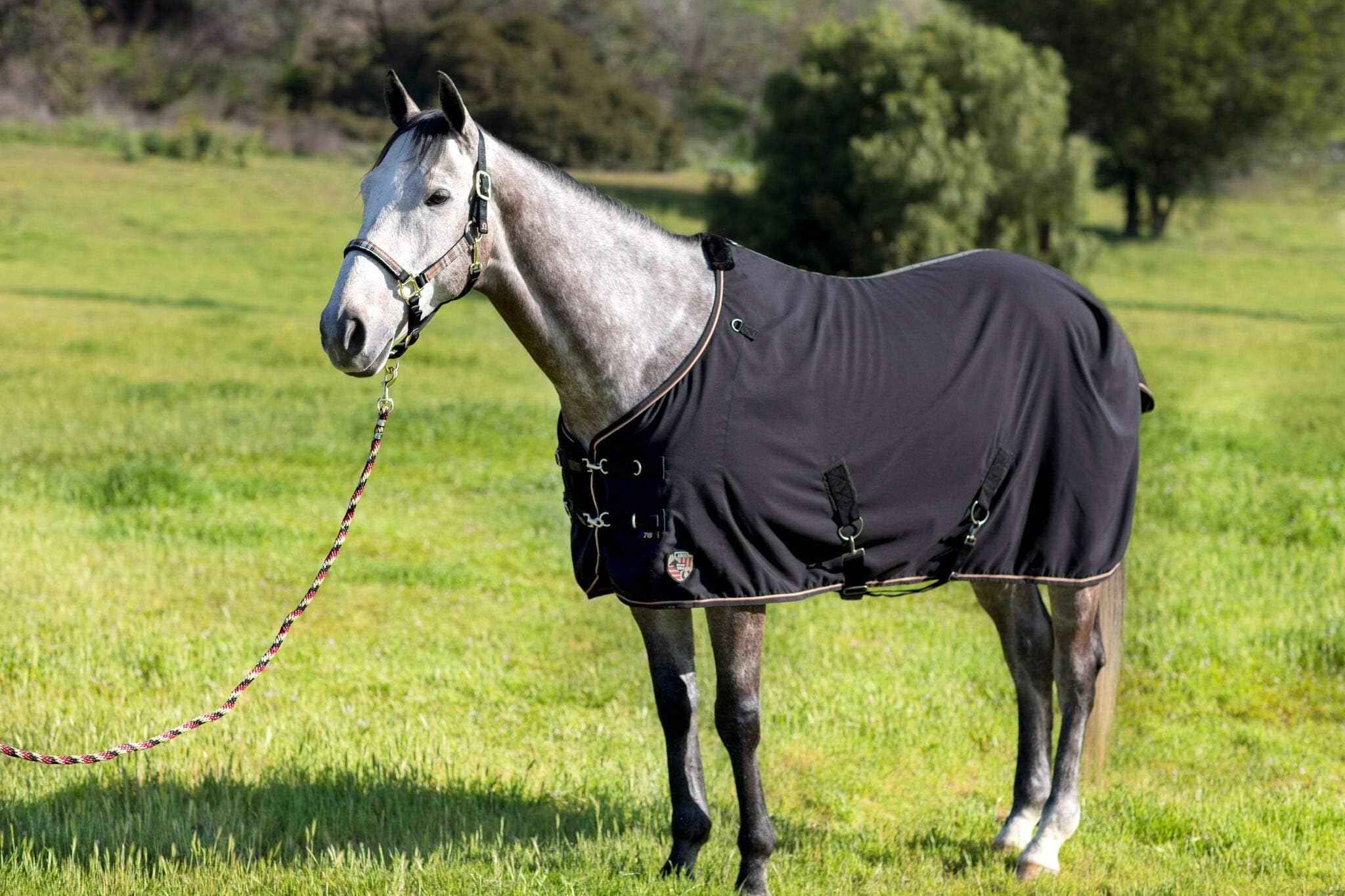 Kensington Products Egyptian Cotton Horse Stable Blanket - Lightweight Durable & Breathable Day Sheets