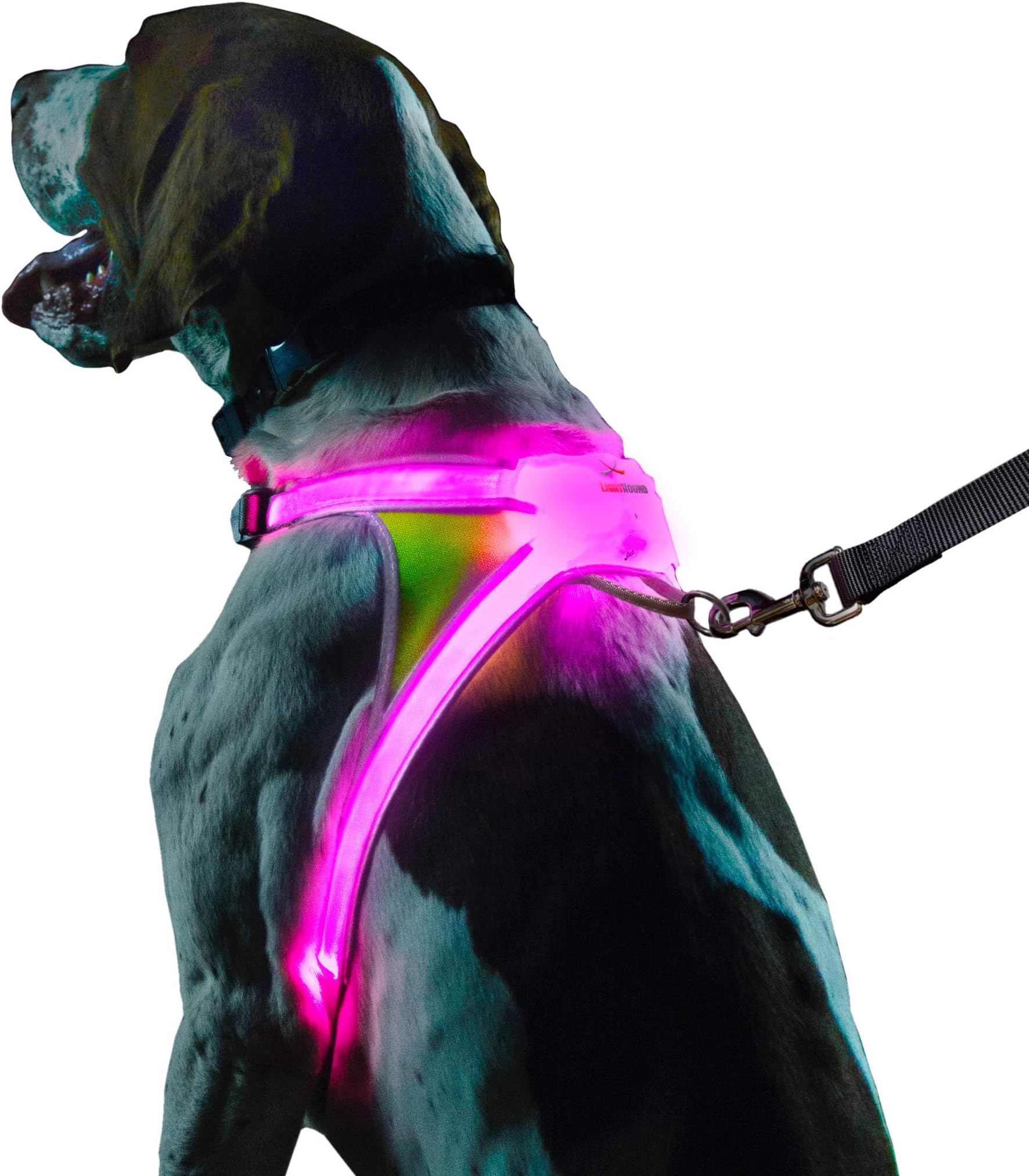 Noxgear LightHound - Revolutionary Illuminated and Reflective Vest for Dogs Including Multicolored LED Fiber Optics (USB Rechargeable, Adjustable, Lightweight, Rainproof) (Small)