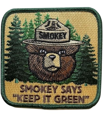 PATCH RAICHU POKÉMON Toppa Termoadesiva Iron On Embroidered Elettro - Foto 8