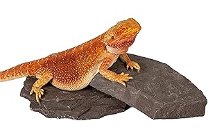 CAROLINACUSTOMCAGES Natural Habitat Rocks, Deep Maroon, Medium Size Pair