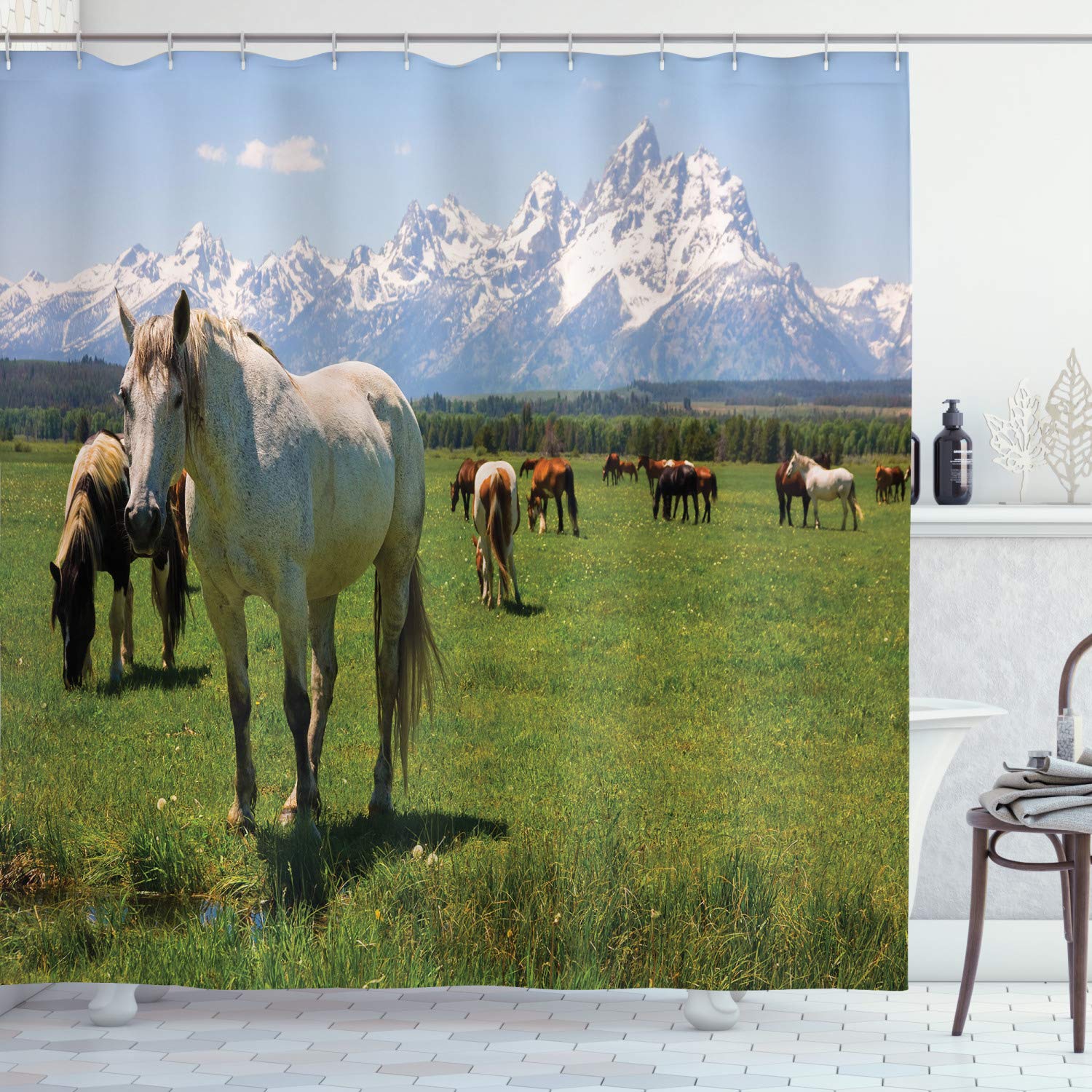 ABAKUHAUS National Parks Shower Curtain, Horses, Cloth Fabric Bathroom Decor Set with Hooks, 94 Inches, Multicolor