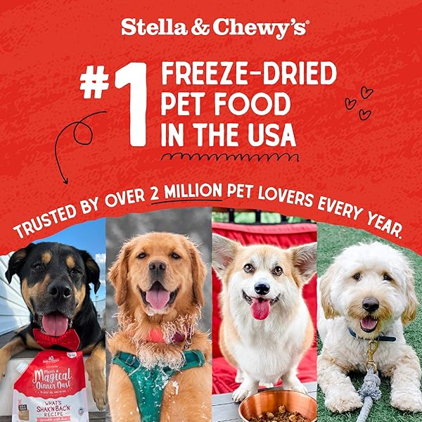 STELLA & CHEWY’S FREEZE DRIED RAW DINNER PATTIES – GRAIN FREE DOG FOOD, PROTEIN RICH STELLA’S SUPER BEEF RECIPE – 5.5 OZ BAG