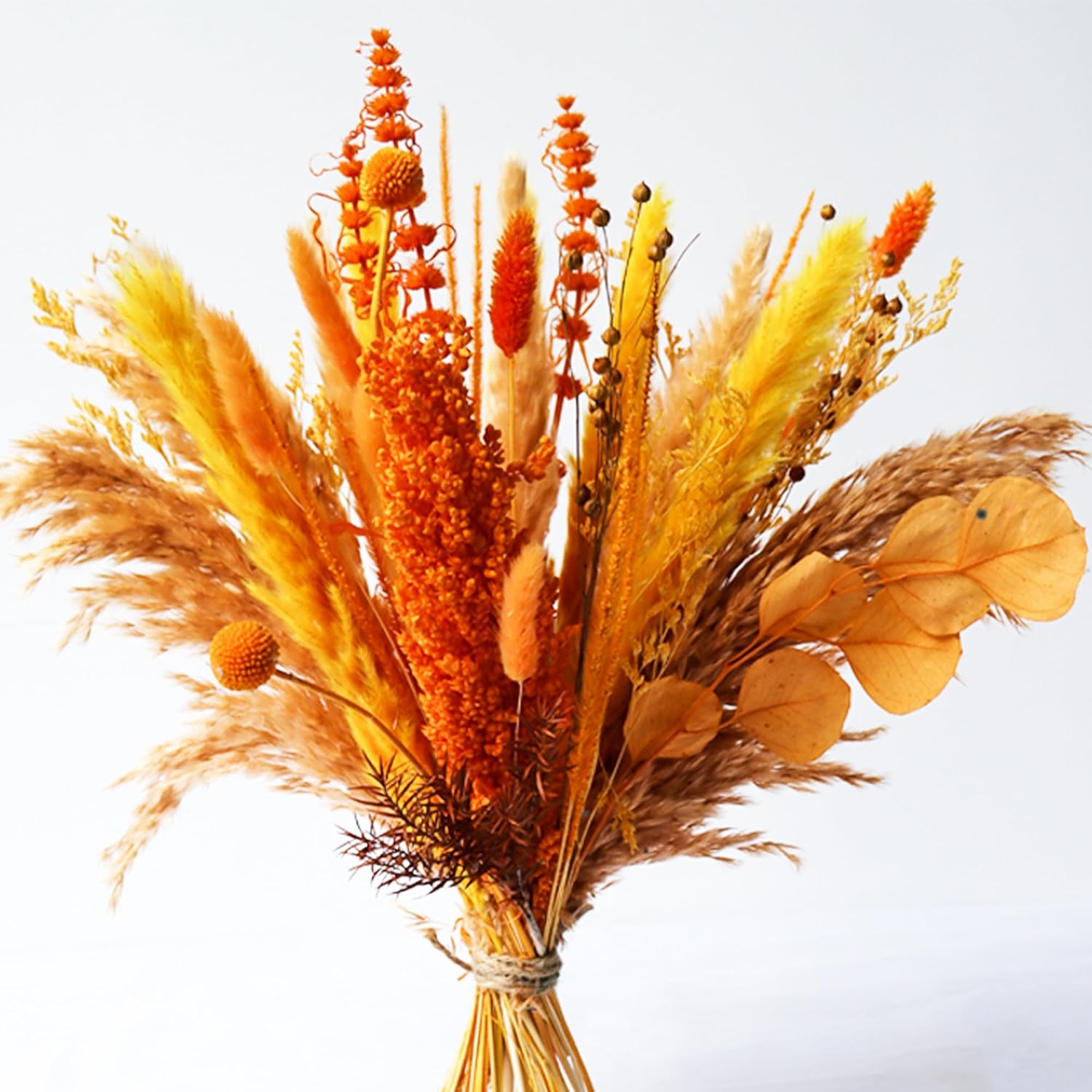 Dried & Preserved Flora - Acfruits Orange Natural Dried Pampas Grass Bouquet, 17 Inch Blush Orange Fall Pampas Grass Decor Dried Flower Arrangement for Home Wedding Decoration