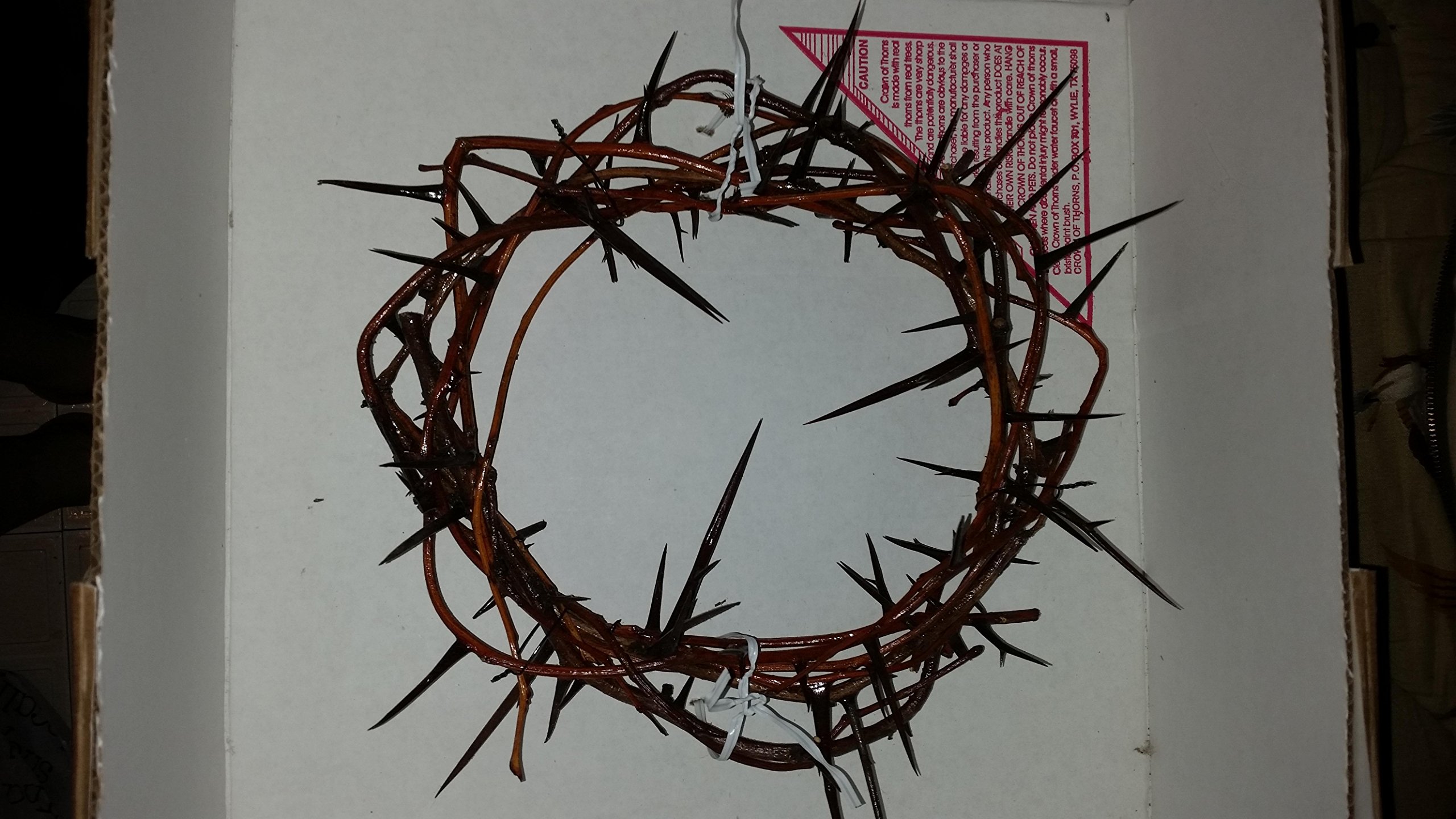 Holy Land Imports Crown of Thorns: Life Size Authentic Crown (11-12" in