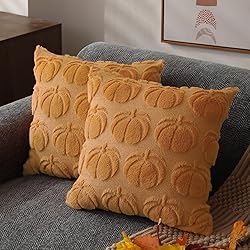 DFXSZ Fall Pillow Covers 16x16 Set of 2 Fall