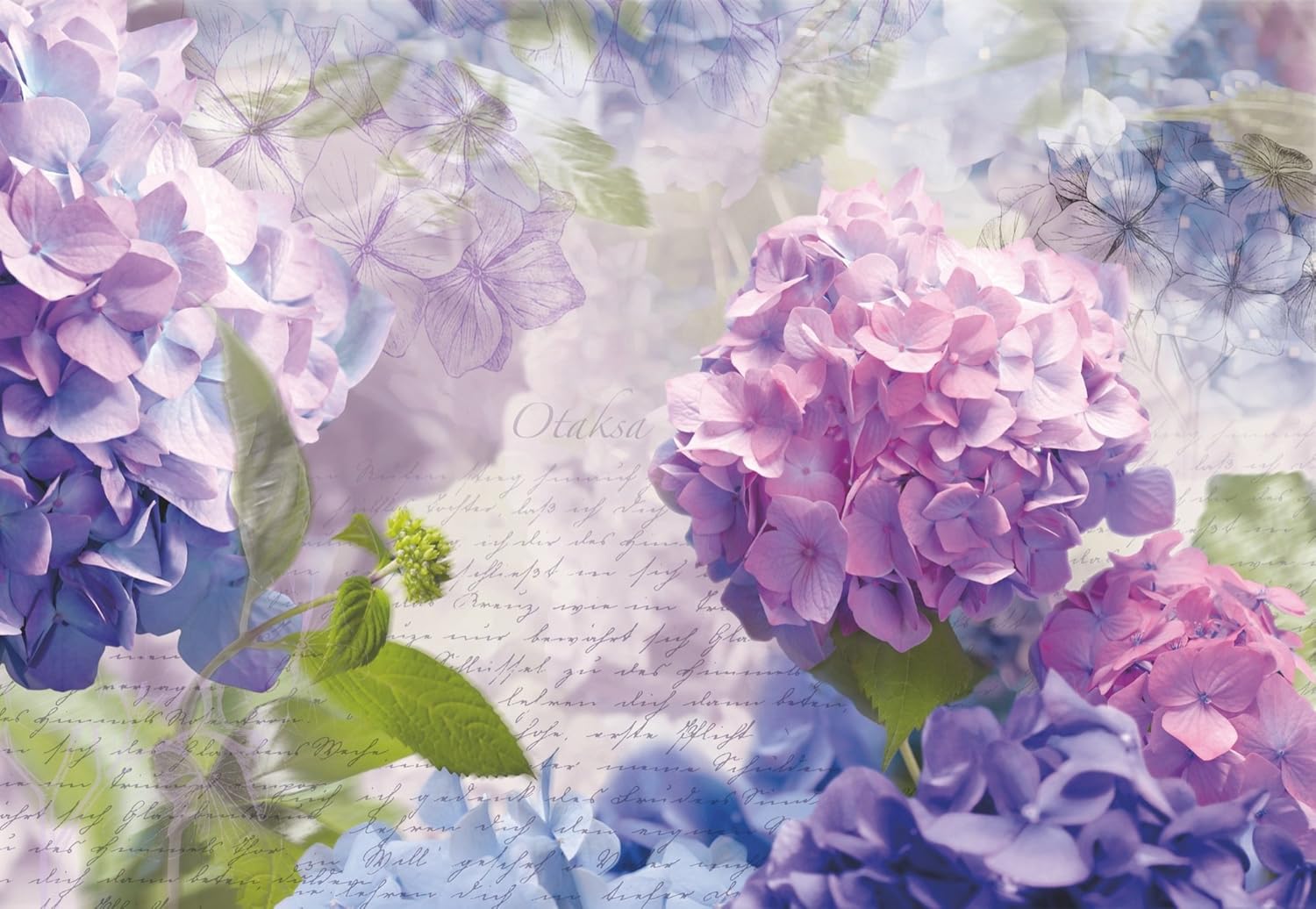 Komar 8-705 368 x 254 cm Otaksa Hydrangea Flower Floral Wallpaper Mural - Purple (Pack of 8), 254 x 368.3 cm - Image 3