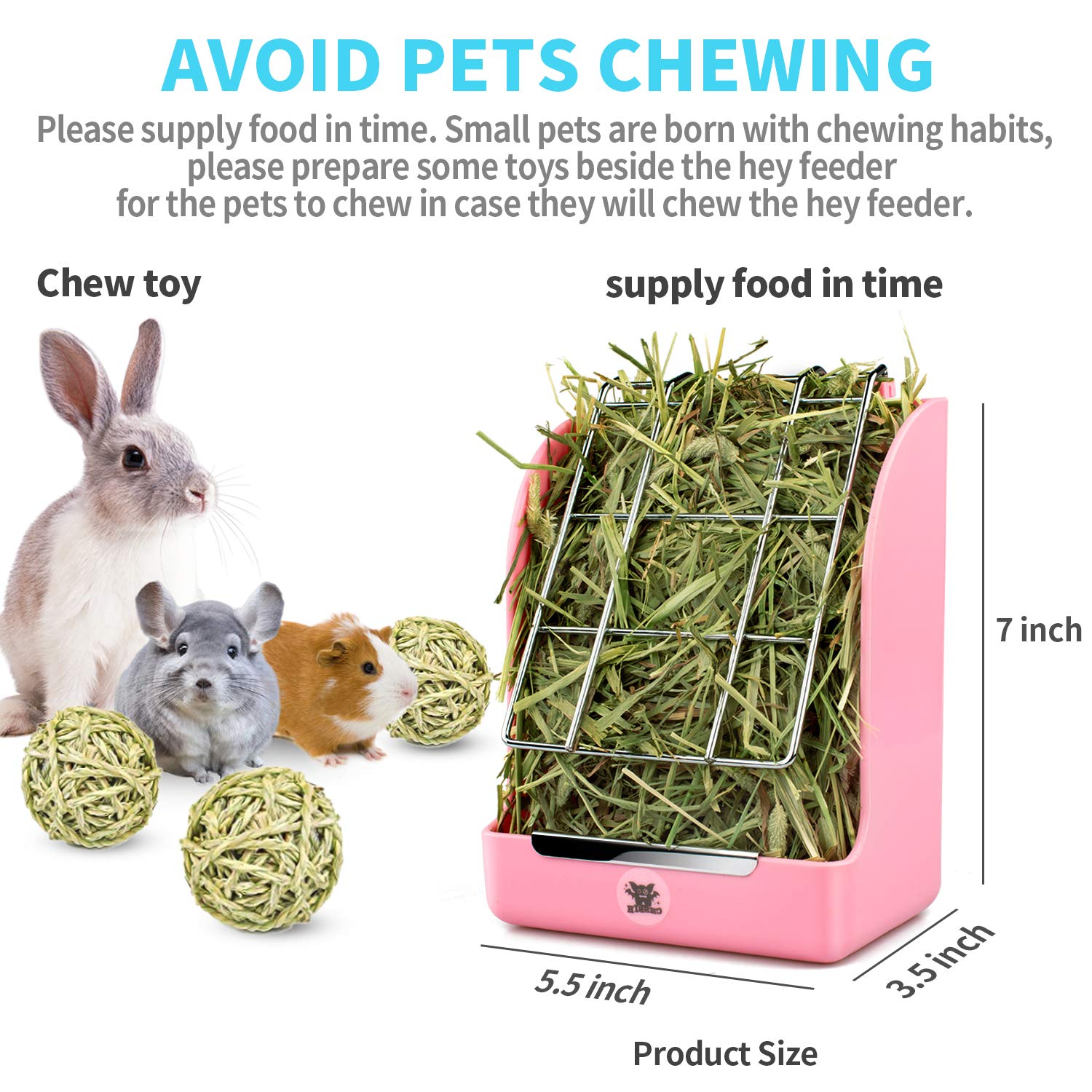 Best Guinea Pig Cage Store Coupon Hawaii