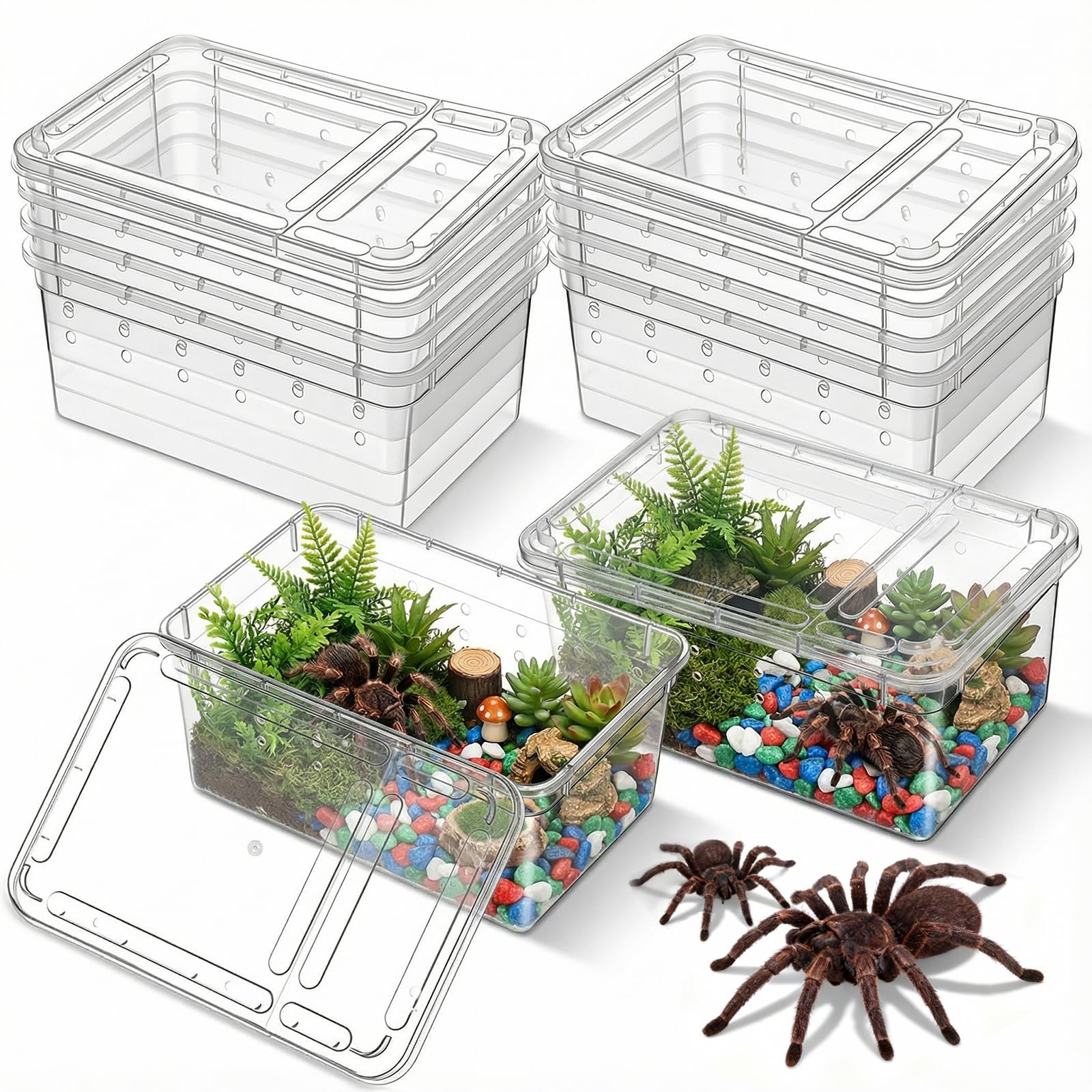 Photo 1 of 10 Pcs 5.9 x 3.9 x 2.5 Inch Clear Reptile Breeding Box Cricket Keeper Small Plastic Terrarium with Vent Holes Spider Enclosure Snake Feeding Container Habitat for Scorpion, Gecko, Lizard, Frog