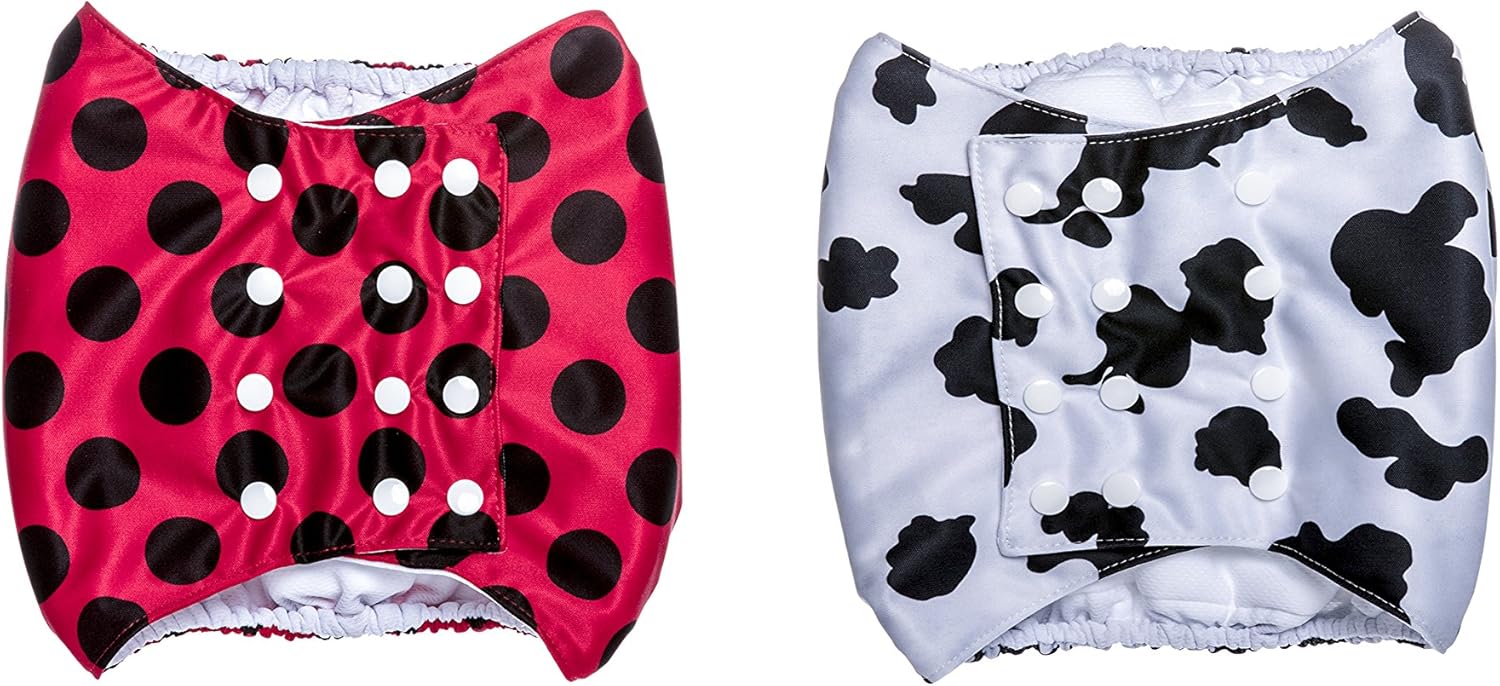 Best How To Remove Dog Urine Stain From Carpet