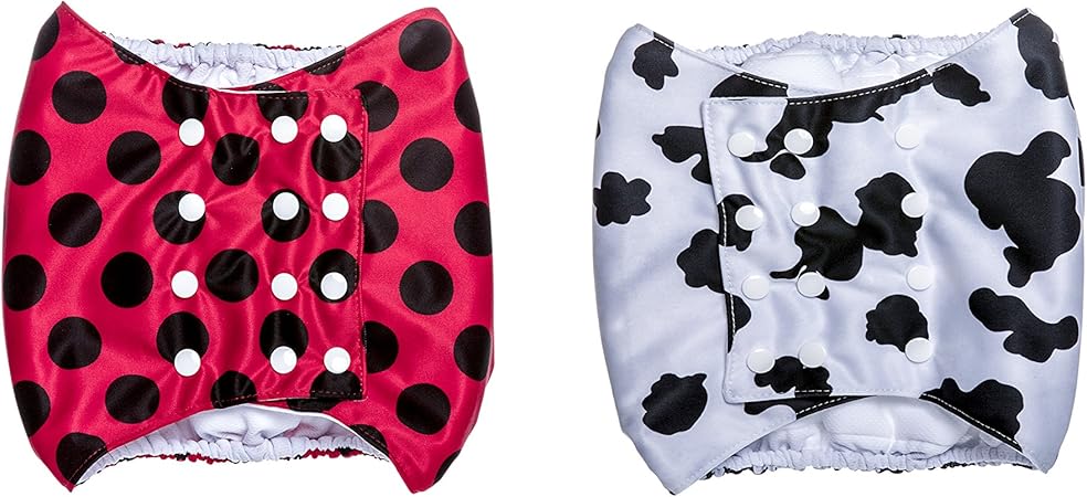 wegreeco belly bands