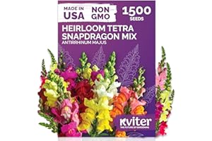 KVITER 1,500 Tetra Mix Snapdragon seeds (Antirrhinum Majus) – Heirloom & Organic Tall Snap Dragon Mix, Annual Flower Garden seeds, Cut Flower Seeds for Planting – Ideal for Outdoor Garden & Containers