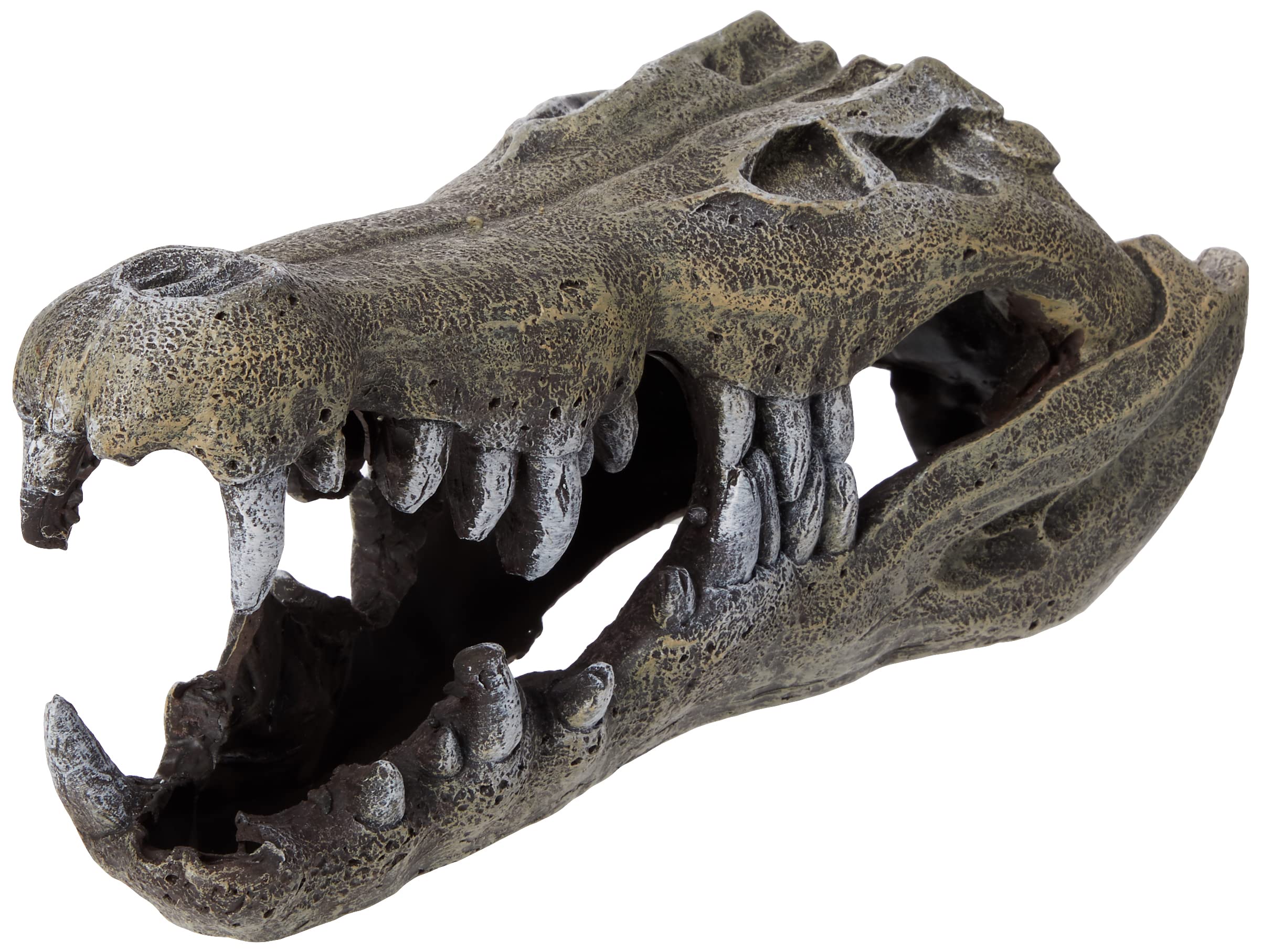 Blue Ribbon Rosewood Nile Crocodile Skull Aquarium Decor, Large,gray