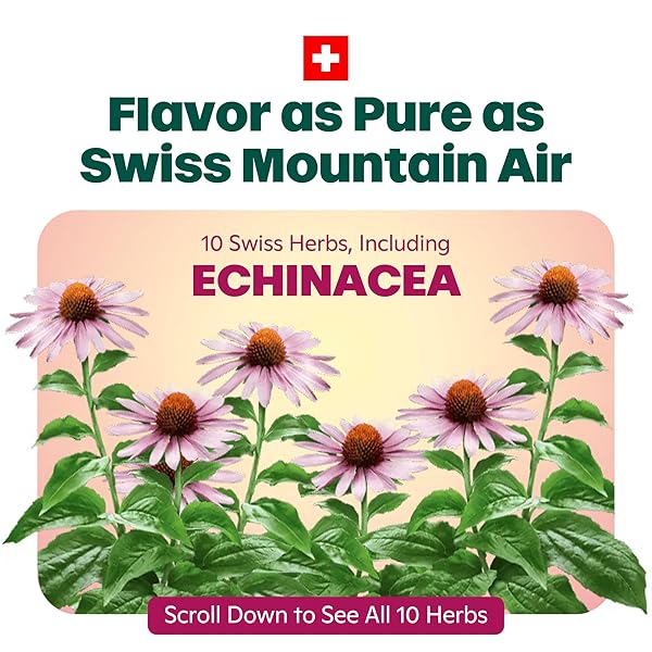 RICOLA, THROAT DROPS ECHINACEA HONEY LEMON, 45 COUNT