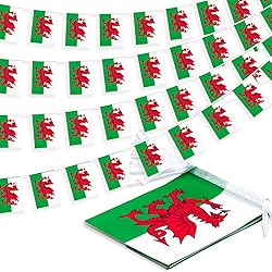 Wales String Flag Pennant Banner, Small Mini Welsh