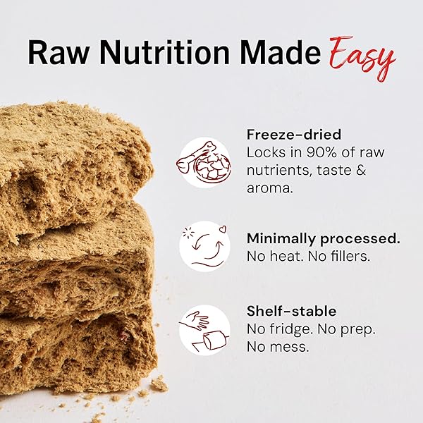 STELLA & CHEWY’S FREEZE-DRIED RAW DINNER PATTIES – DANDY LAMB RECIPE – HIGH PROTEIN GRAIN-FREE PUPPY & DOG FOOD – PERFECT FOR PICKY EATERS – 25 OZ