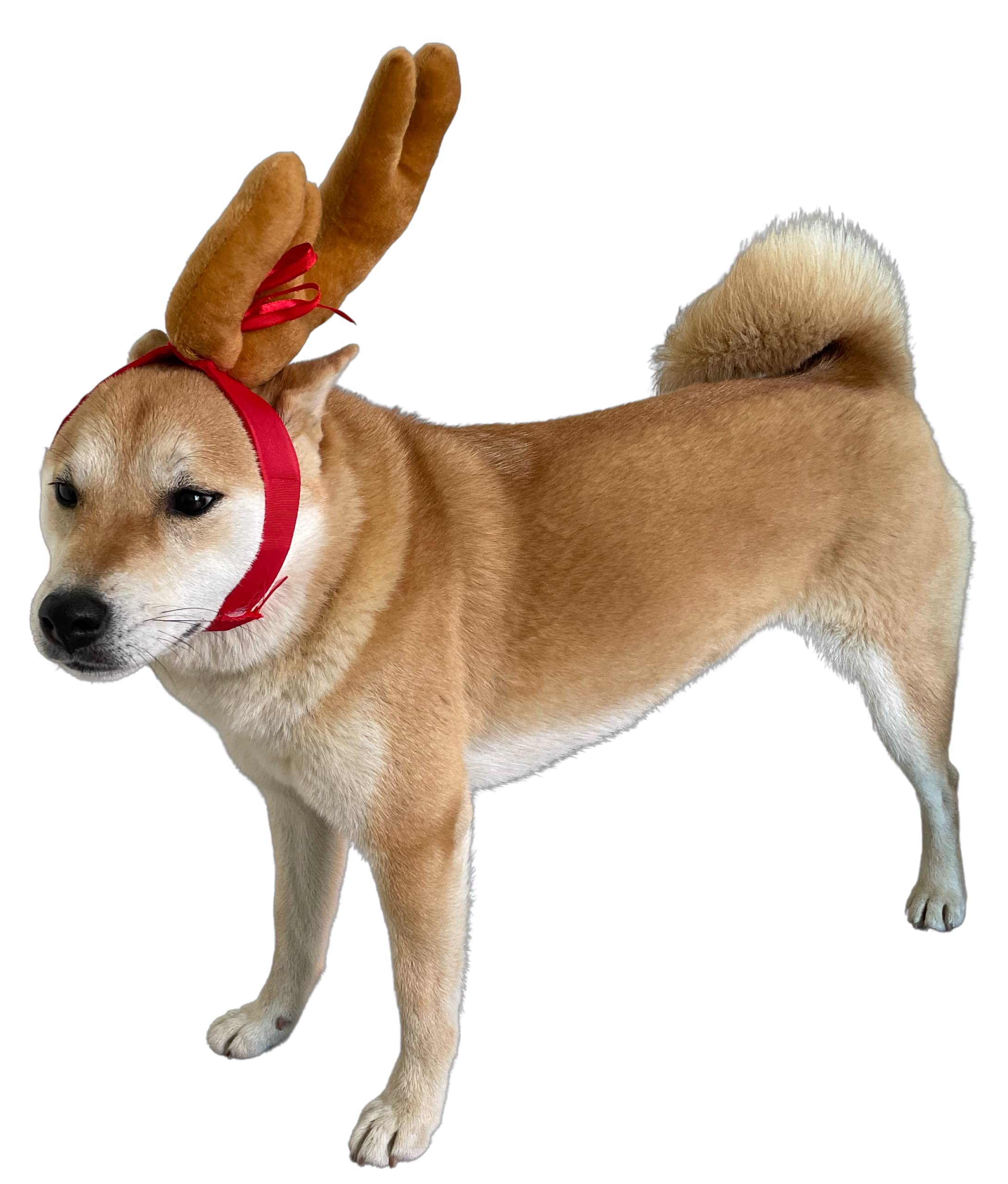 ComfyCamper Reindeer Antler Dog Halloween Costume - Headband Cosplay Christmas Small Medium Large X-Large Puppy Cat, L